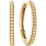 Carre Hoops - Gold/Silver