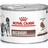Royal Canin Mælk Kæledyr Royal Canin Recovery 12x195g