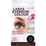Øjenbryns- & Øjenvippefarver Depend Perfect Eye Lash & Eyebrow Colour #4904 Black