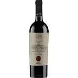 Merlot Vine Governo All'Uso 2017 Tuscany 13.5%