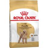Royal Canin Tandpleje Kæledyr Royal Canin Poodle Adult 7.5kg