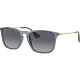 Ray-Ban Solbriller Ray-Ban Chris Polarized RB4187 6592T3