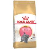 Royal Canin Katte Kæledyr Royal Canin British Shorthair Kitten 2kg