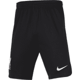 Premier League Bukser & Shorts Nike Liverpool Udebaneshorts 2023/24 Børn XL: 158170