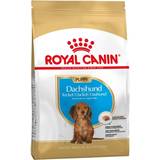 Royal Canin Kæledyr Royal Canin Dachshund Puppy 1.5kg
