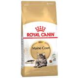 Royal Canin Katte - Led & Mobilitet Kæledyr Royal Canin Maine Coon Adult 2kg