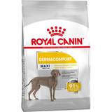 Royal Canin Allergier Kæledyr Royal Canin Maxi Dermacomfort 12kg