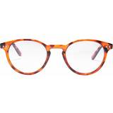 Leopard Briller & Læsebriller Northweek Hayes