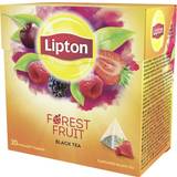 Drikkevarer Lipton Forest Fruit Black Tea 20stk 1pack
