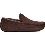 UGG Herre Lave sko UGG Ascot - Dusted Cocoa