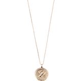 Metal Halskæder Pilgrim Cancer Zodiac Sign Necklace - Gold/Transparent