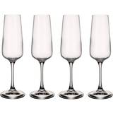 Villeroy & Boch Med fod Glas Villeroy & Boch Ovid Champagneglas 25cl 4stk