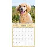 Vægkalender Mayland Vægkalender Hundehvalpe 2024