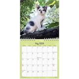 Mayland Kontorartikler Mayland Vægkalender Kattekillinger 2024