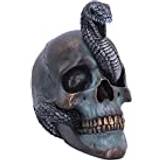 Nemesis Now Grå Brugskunst Nemesis Now Serpentine Fate Snake Skull Sculpture Gothic Figurine