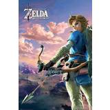 Zelda Hyrule Scene Landscape Plakat