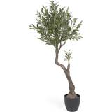 Sort Dekorationer LaForma oliventræ Kunstig plante