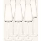 Blomus Champagneglas Blomus Set Of 6 Champagneglas