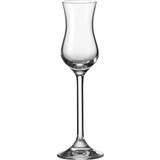 Hvidvinsglas - Keramik Vinglas Leonardo Grappa Daily Drinksglas
