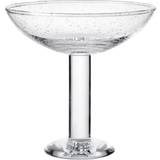 Louise Roe Bubble glass Champagneglas