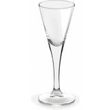 Hvid Snapseglas Libbey 5 Aquavit Snapseglas