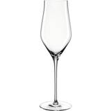 Brun Glas Leonardo 340ml Brunelli Champagneglas