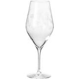 Transparent Champagneglas Frederik Bagger Flower Champagneglas