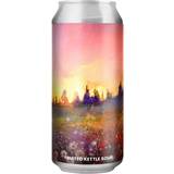 Sour Beer Alefarm Stay For The Summer - 5.1% 44 cl