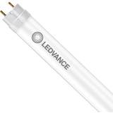 LEDVANCE Lyskilder LEDVANCE tube t8 em s 438 mm 5.1w 830 4099854037337