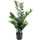Krukker Mr Plant Zamifolia