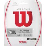 Badmintonstrenge Wilson NXT Power 17 Tennis String Packages