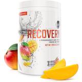 Pulver Kulhydrater XLNT Sports 2 stk Recovery Mango