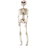 Skeletter Tilbehør Kostumer Panduro Hobby Skelet til halloween – 29 højt