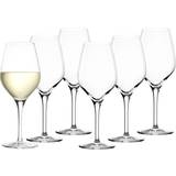 Stölzle Transparent Glas Stölzle Lausitz Exquisit Series Hvidvinsglas 35cl 6stk