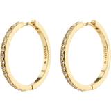 Pilgrim Krystal Øreringe Pilgrim Large Hoops - Gold/Transparent