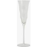 Med fod - Træ Glas Nordal Opia Champagneglas 20cl