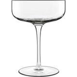 Luigi Bormioli Glas Luigi Bormioli Vinalia Coupe Champagne Glass 10.1fl oz
