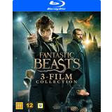 Blu-ray Blu-ray Fantastic Beasts 3 På lager i butik
