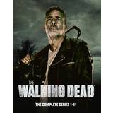The Walking Dead Complete BOX Season 1 11 Release dato: 13-11-2023