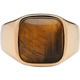 Brun Ringe IX Studios Cushion Signet Ring, Guld/Tiger Eye