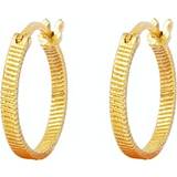 Øreringe House of Vincent Fortune Teller Hoops Medium - Gold