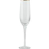 Lene Bjerre Champagneglas Lene Bjerre Claudine H26,5 Champagneglas