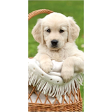 Bomuld - Multifarvet Pleje & Badning Licens Håndklæde med hundehvalp 70x140 cm Badehåndklæde 100% Bomuld