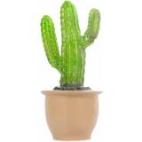 Børneværelse Egmont Toys Lamp Finger Cactus In Pot Natlampe