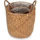 Seagrass Pot 3-pack
