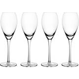 Beige - Glas Mareld 16 Clear Champagneglas