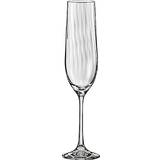 Nuance Glas Nuance krystalglas Champagneglas