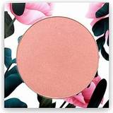 Phb Ethical Beauty Makeup Phb Ethical Beauty Blush Blossom