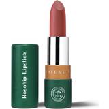 Phb Ethical Beauty Makeup Phb Ethical Beauty Organic Rosehip Demi-Matte Lipstick Bliss