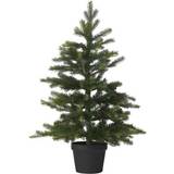 Grå Julepynt Grandis künstlicher vorgeleuchtet Weihnachtsbaum